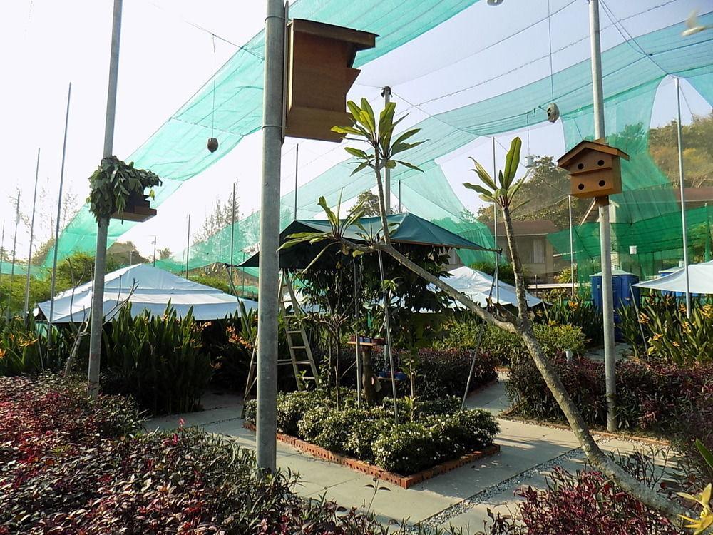 T Star Cottage Langkawi Pantai Cenang  Kültér fotó