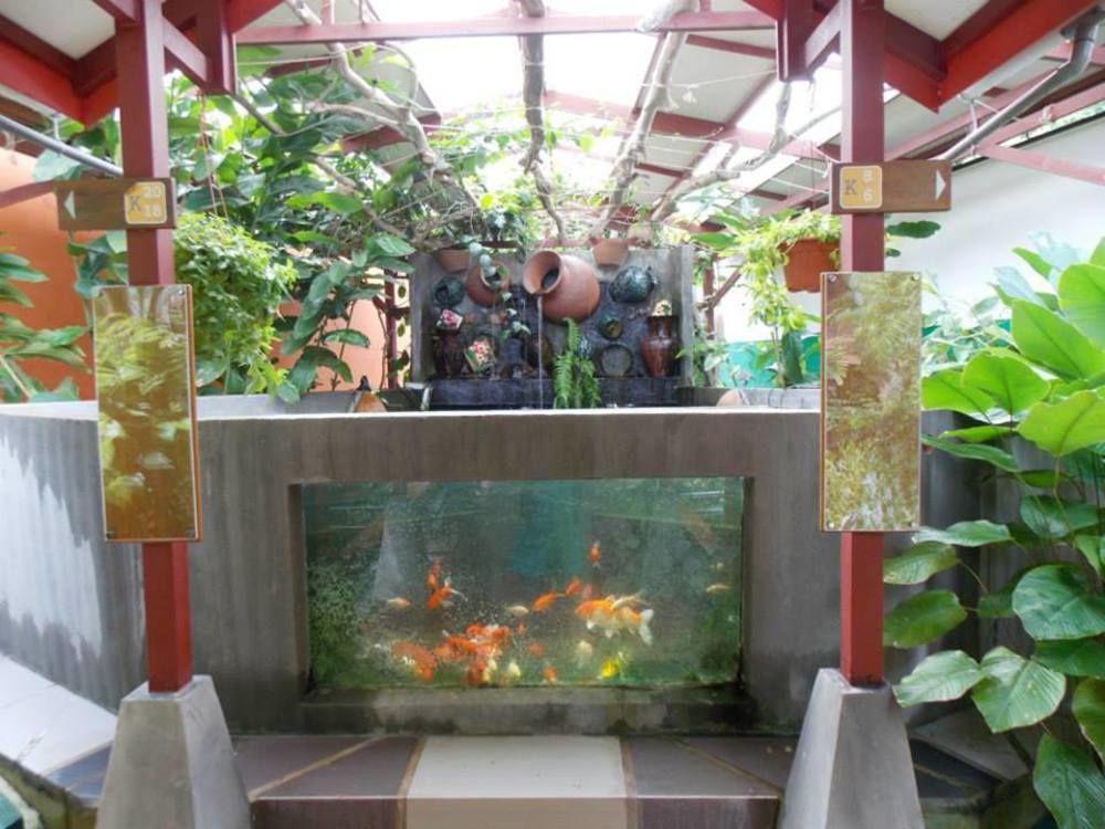 T Star Cottage Langkawi Pantai Cenang  Kültér fotó
