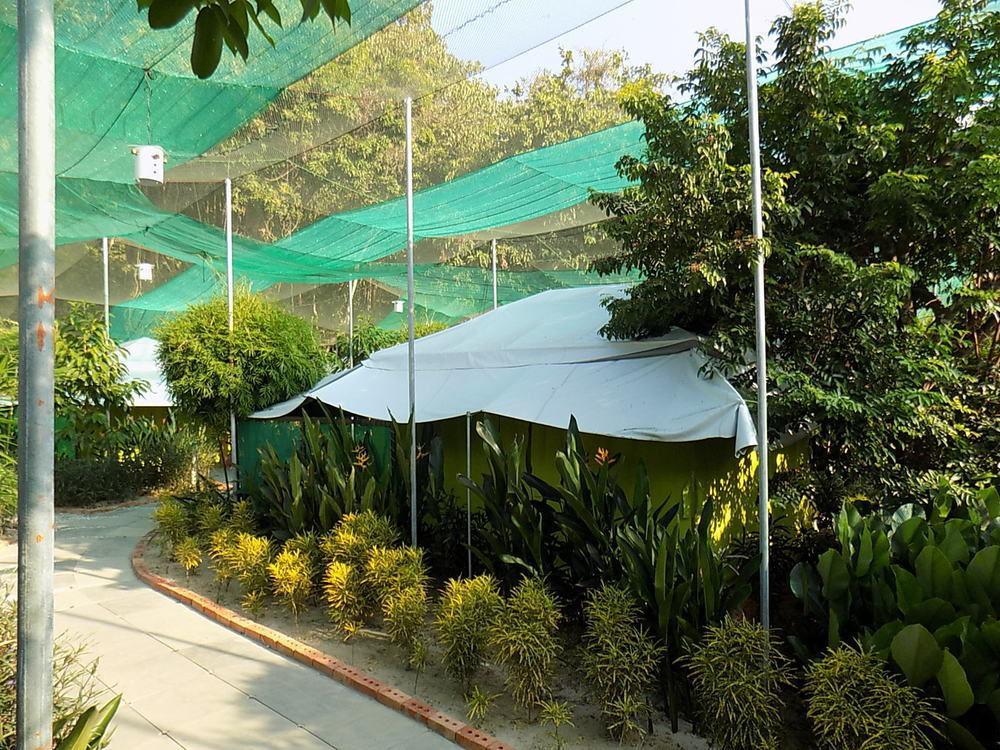 T Star Cottage Langkawi Pantai Cenang  Kültér fotó