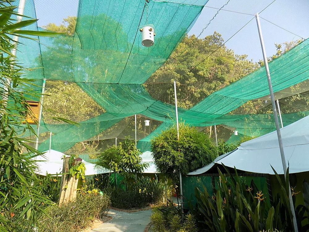 T Star Cottage Langkawi Pantai Cenang  Kültér fotó
